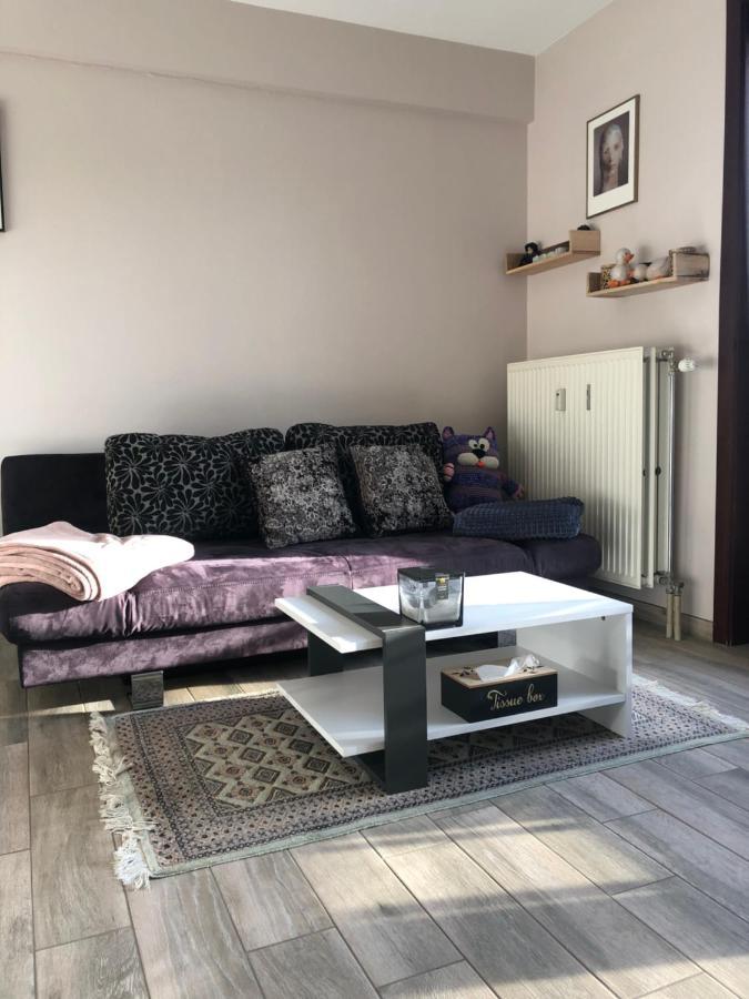 Shiny Nice Studio At Ostend Apartment Ngoại thất bức ảnh